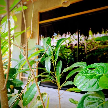The Ohm Siargao Resort جنرال لونا المظهر الخارجي الصورة