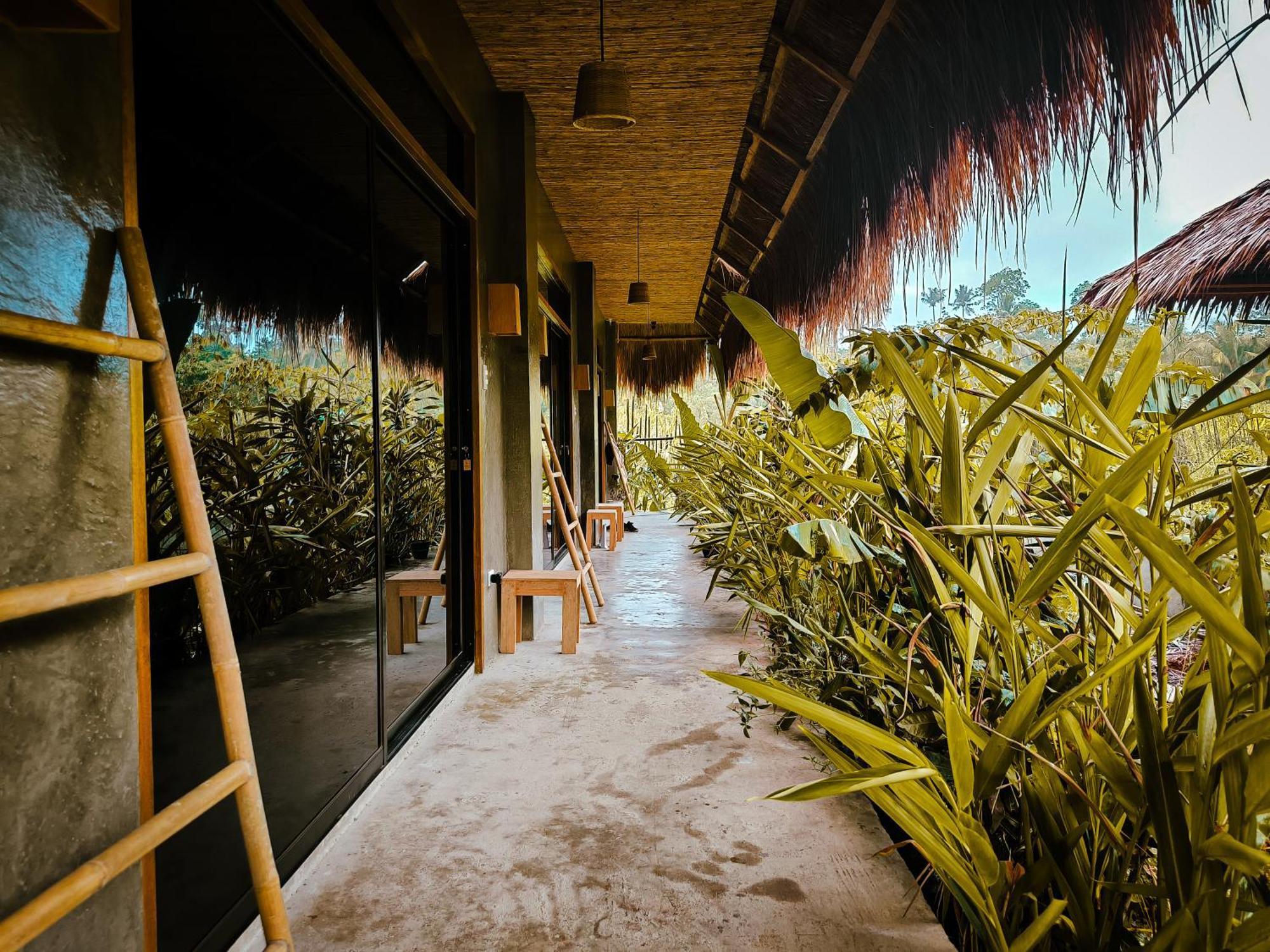 The Ohm Siargao Resort جنرال لونا المظهر الخارجي الصورة