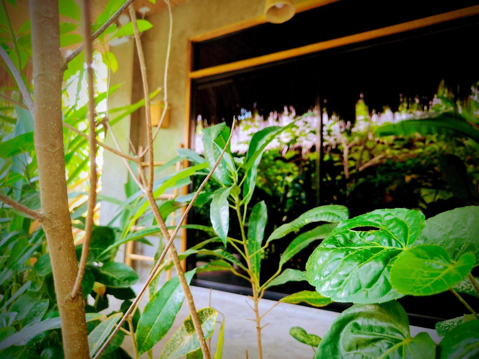 The Ohm Siargao Resort جنرال لونا المظهر الخارجي الصورة