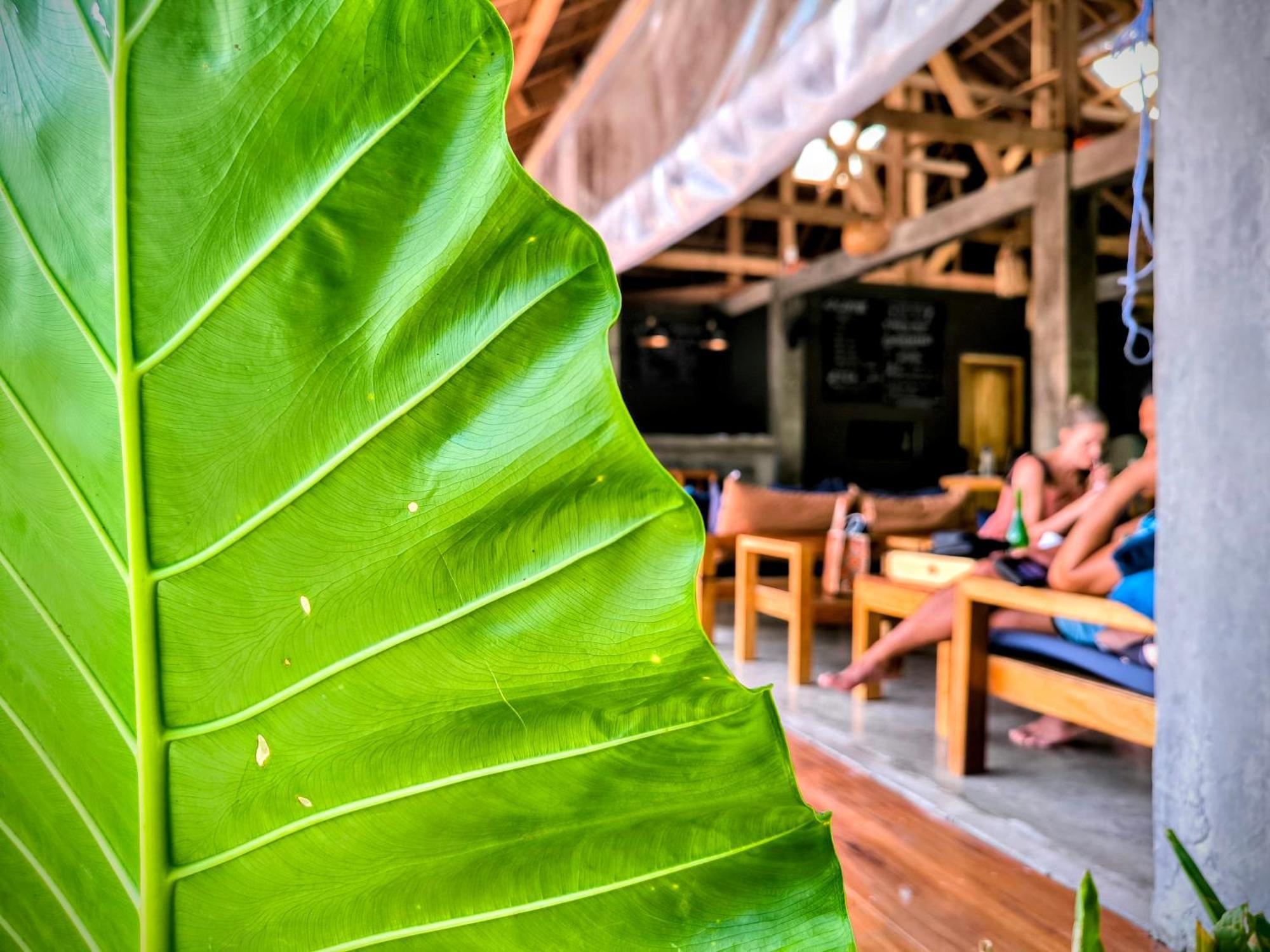 The Ohm Siargao Resort جنرال لونا المظهر الخارجي الصورة